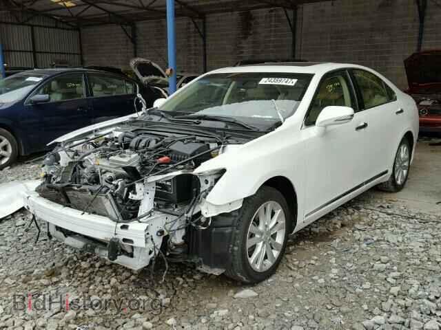2010 LEXUS ES350 - VIN: JTHBK1EG0A2406296 - Фото 2