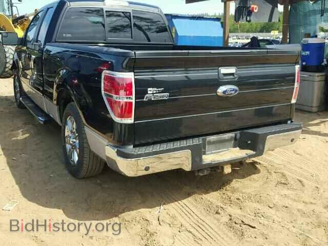 2013 FORD F150 - VIN: 1FTFX1CT1DFC32014 - Фото 3