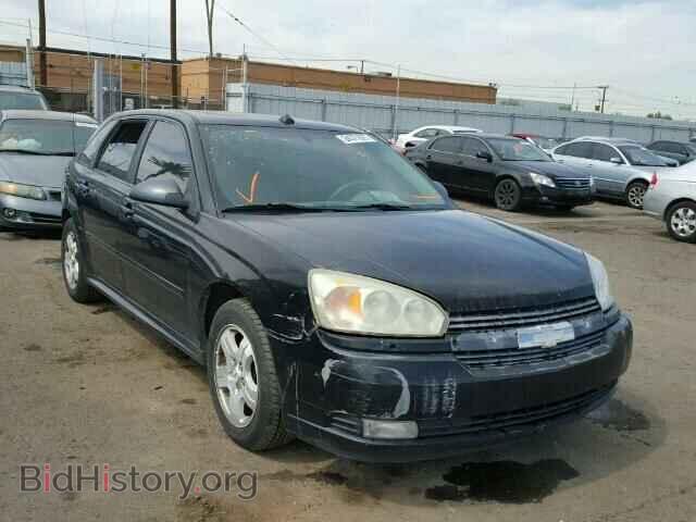 Photo 1G1ZU64895F170224 - CHEVROLET MALIBU 2005