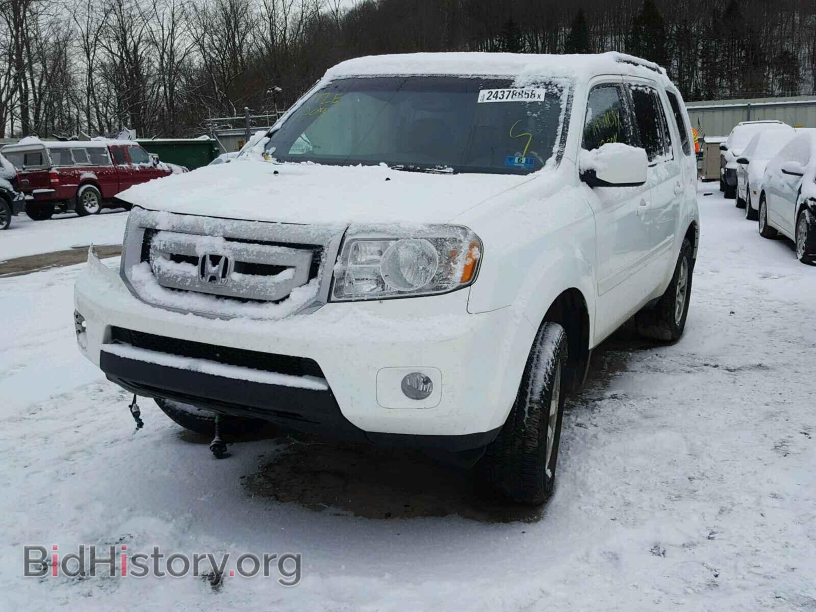 2011 HONDA PILOT - VIN: 5FNYF4H50BB031830 - Фото 2