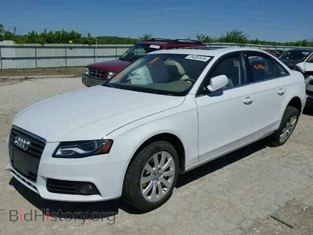 2012 AUDI A4 - VIN: WAUBFAFL2CN004246 - Фото 2