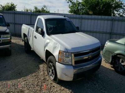 2008 Chevrolet SILVERADO, белый — VIN 1GCEC14C18E123716, Copart