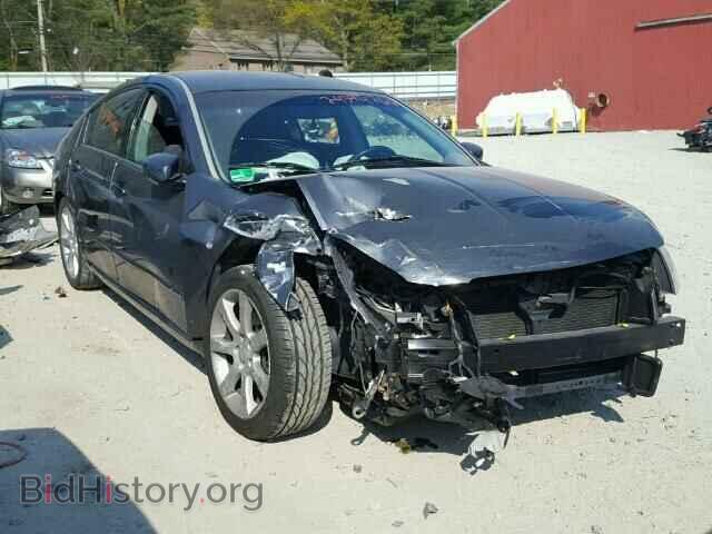 Photo 1N4BA41EX8C835272 - NISSAN MAXIMA 2008