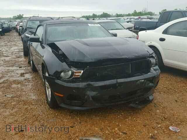 Photo 1ZVBP8EM3C5237228 - FORD MUSTANG 2012