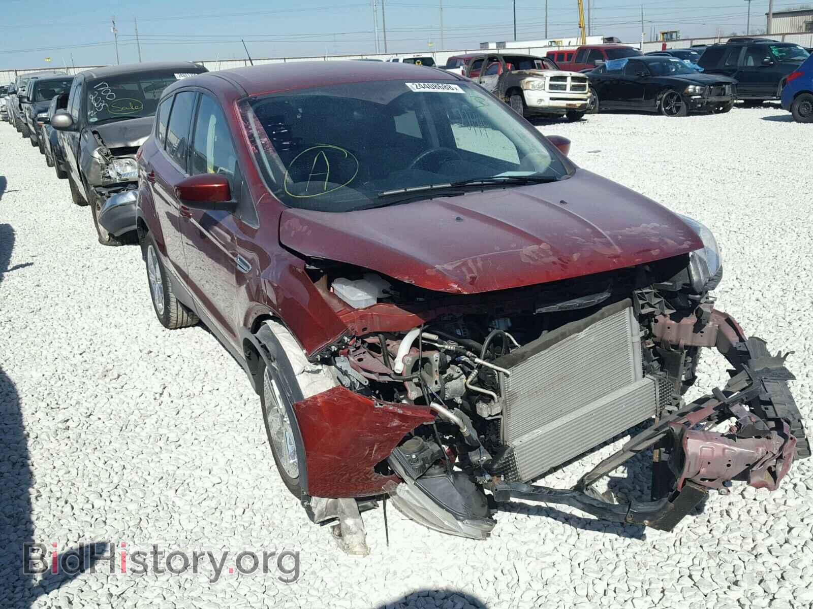 Фотография 1FMCU0GX4EUE50976 - FORD ESCAPE 2014