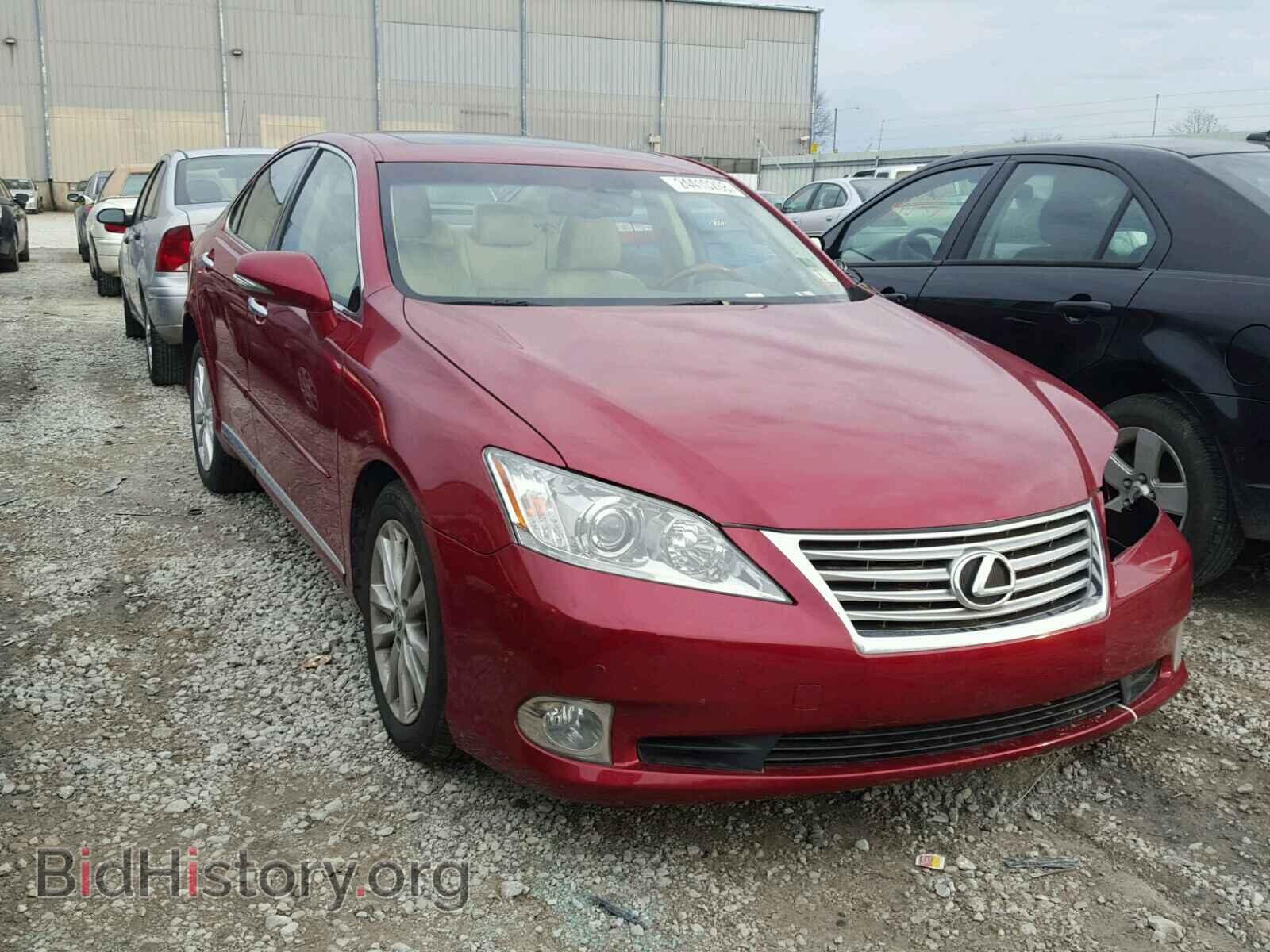 Фотография JTHBK1EG3B2438919 - LEXUS ES350 2011