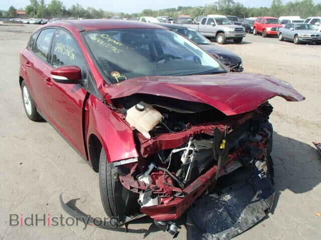 Photo 1FADP3K27DL141607 - FORD FOCUS 2013