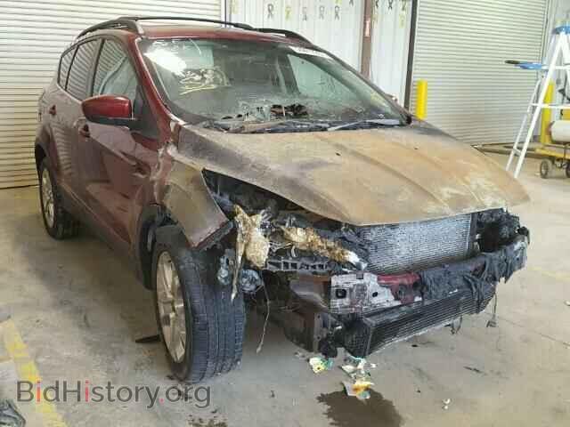 Фотография 1FMCU0GX6DUA46852 - FORD ESCAPE 2013