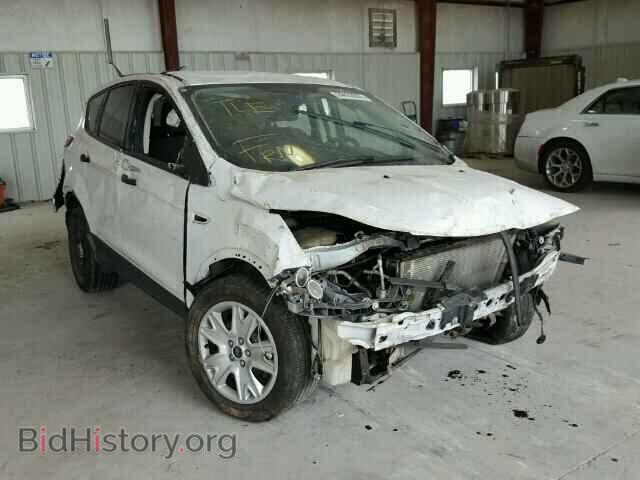 Photo 1FMCU0F70DUD79887 - FORD ESCAPE 2013