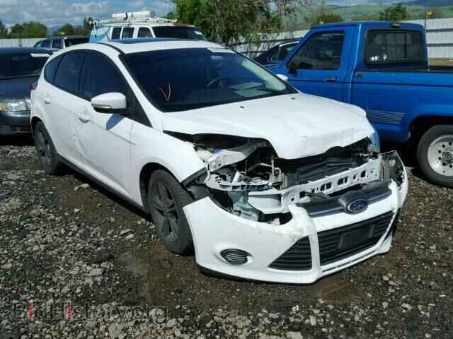 Photo 1FADP3K2XDL145313 - FORD FOCUS 2013