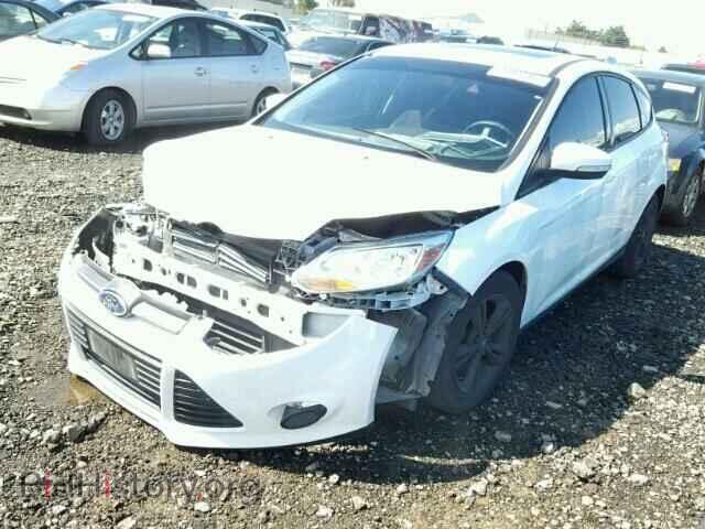 2013 FORD FOCUS - VIN: 1FADP3K2XDL145313 - Photo 2