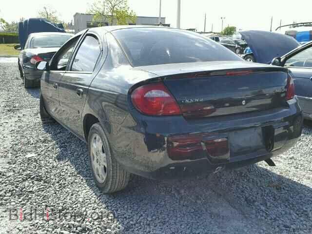 2005 DODGE NEON - VIN: 1B3ES56C65D193240 - Фото 3