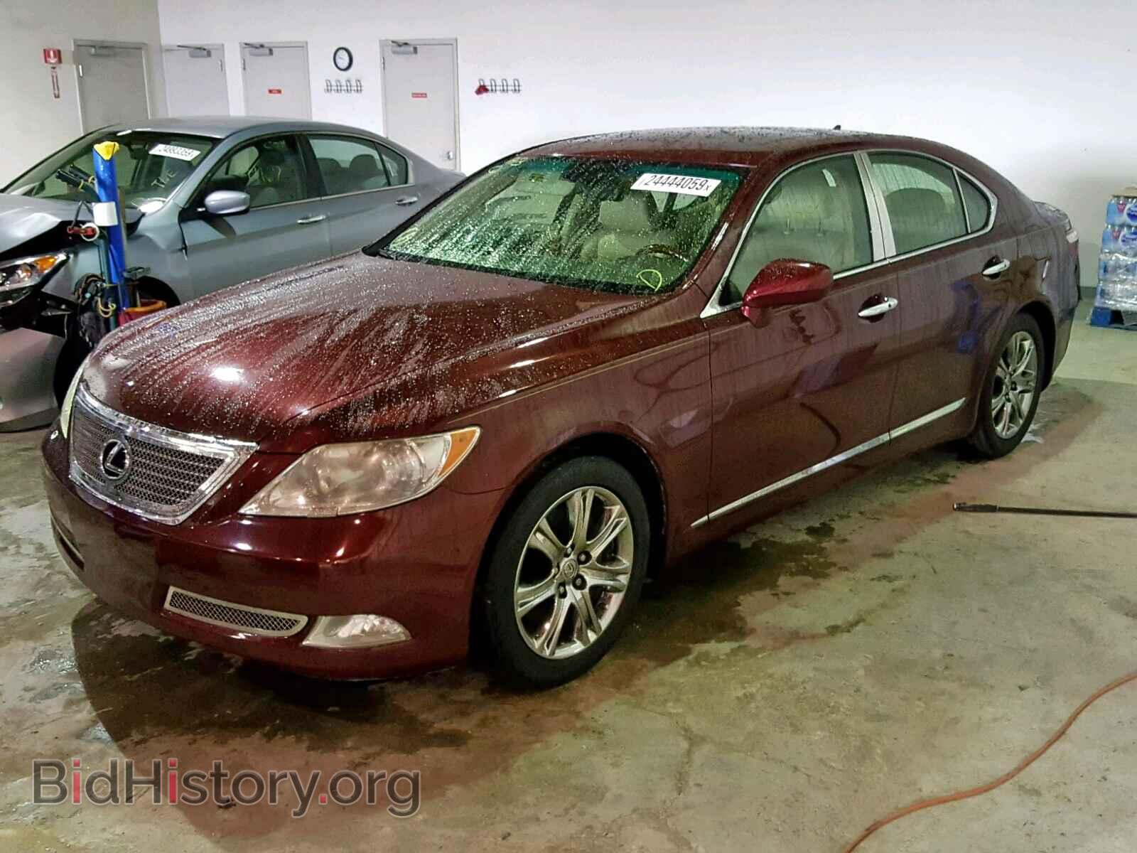 2008 LEXUS LS460 - VIN: JTHBL46F085068556 - Фото 2