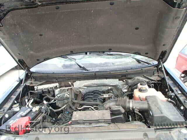 2013 FORD F150 - VIN: 1FTMF1EF0DKD57921 - Фото 7