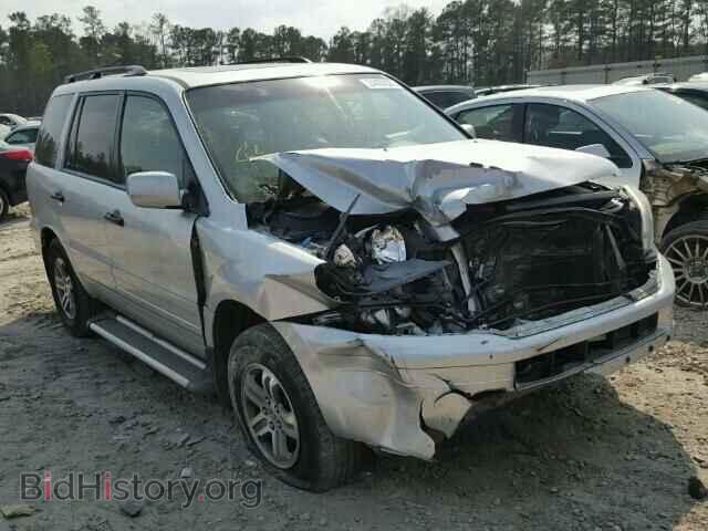 Photo 5FNYF18575B048739 - HONDA PILOT 2005