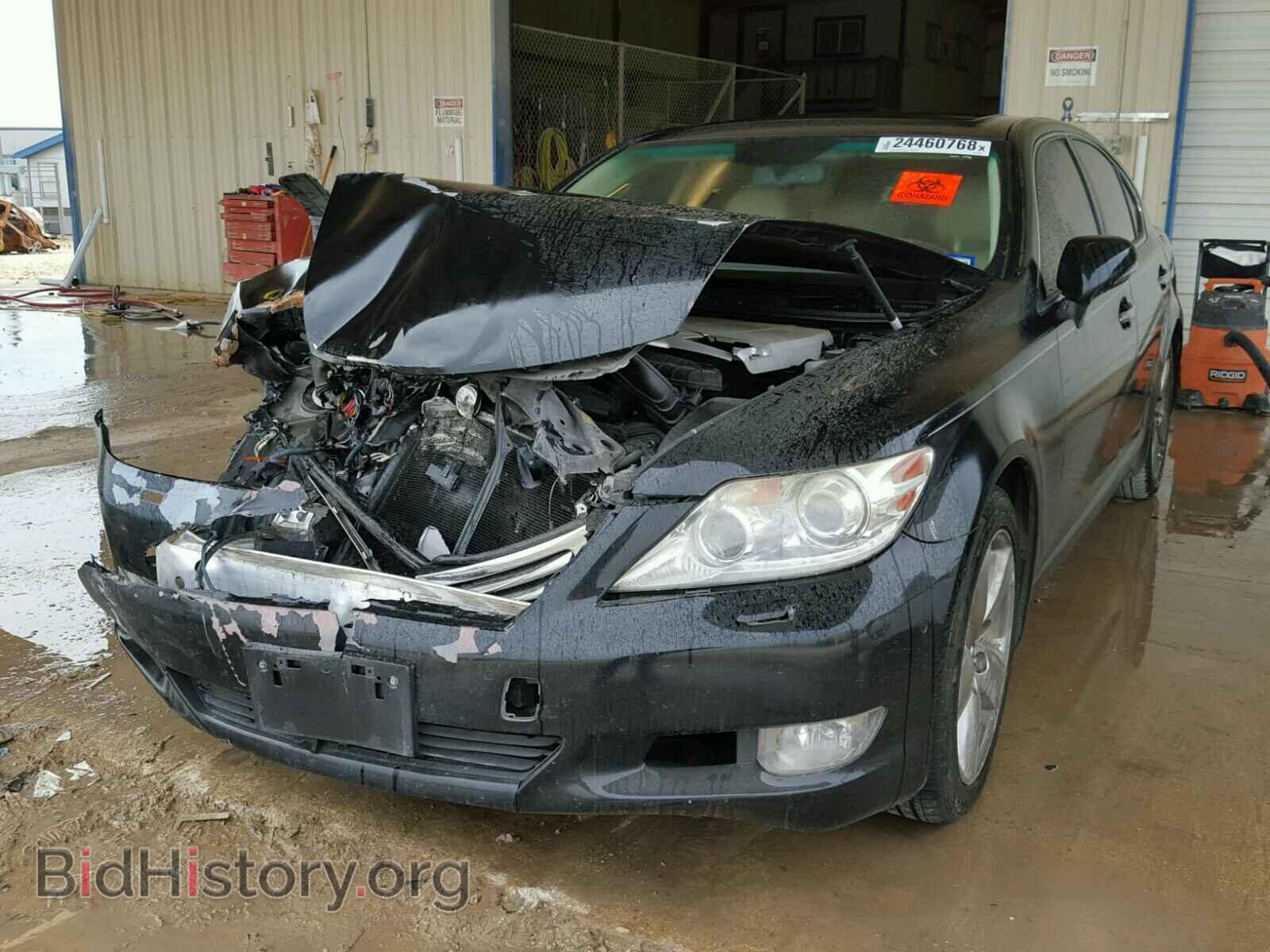2010 LEXUS LS460 - VIN: JTHBL5EF0A5095365 - Фото 2