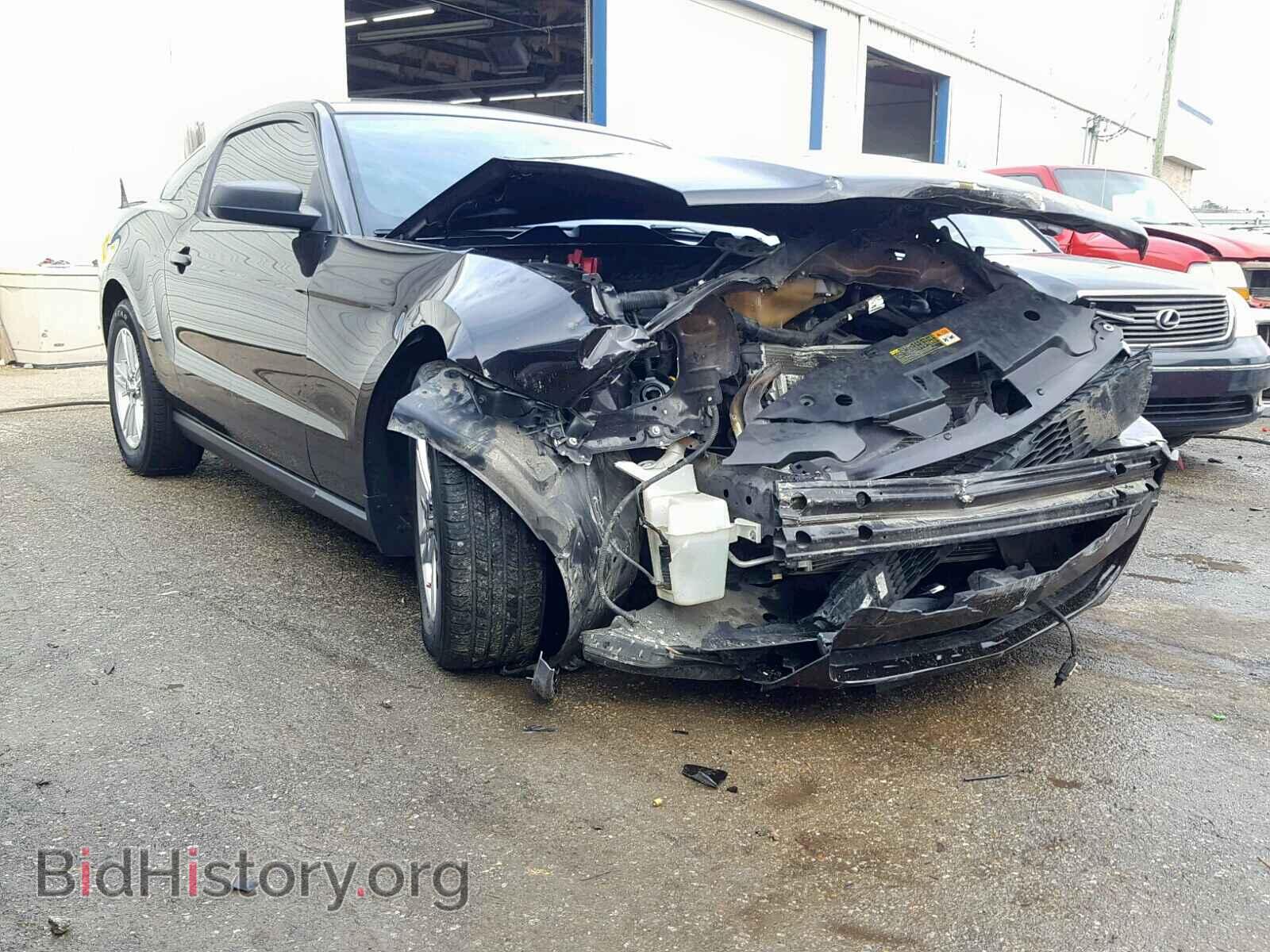 Фотография 1ZVBP8AM2C5201021 - FORD MUSTANG 2012