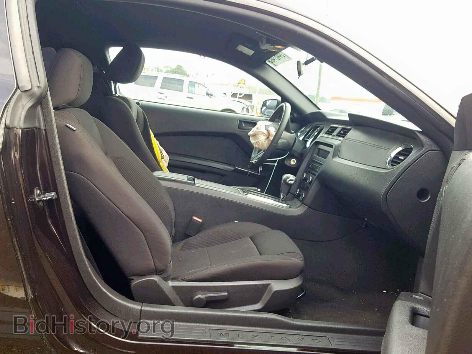 2012 FORD MUSTANG - VIN: 1ZVBP8AM2C5201021 - Фото 5
