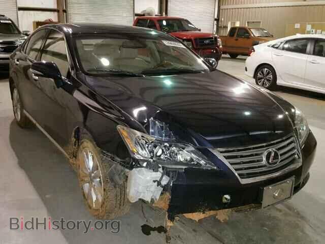 Фотография JTHBK1EG9A2361987 - LEXUS ES350 2010