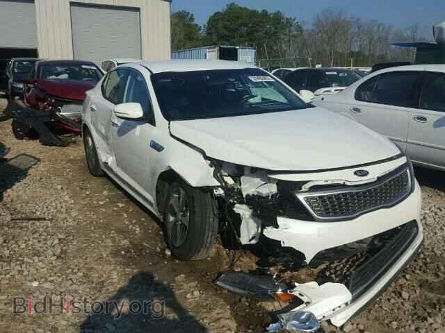 Фотография KNAGM4AD2F5077215 - KIA OPTIMA 2015
