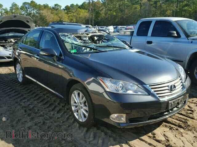Фотография JTHBK1EG7B2456663 - LEXUS ES350 2011