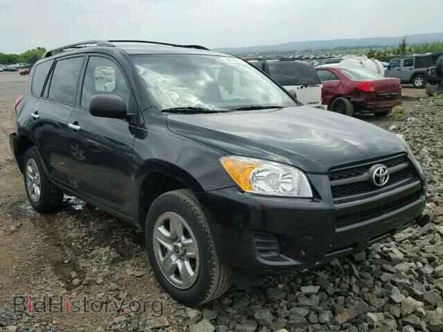 Фотография 2T3BF4DV1BW164358 - TOYOTA RAV4 2011