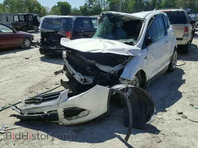 2013 FORD ESCAPE - VIN: 1FMCU0HX9DUC20282 - Фото 2