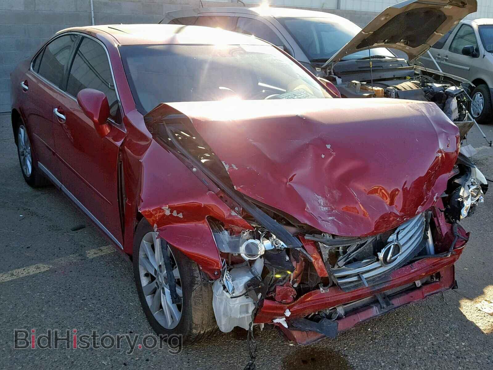 Photo JTHBK1EG1A2413967 - LEXUS ES350 2010