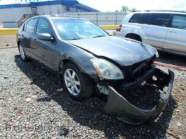 Photo 1N4BA41E55C865338 - NISSAN MAXIMA 2005