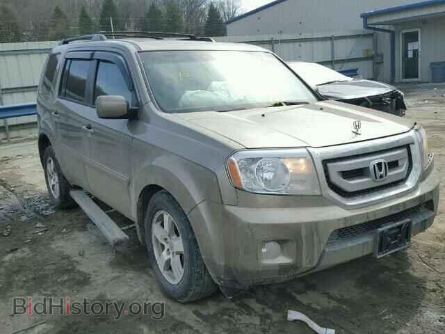 Фотография 5FNYF4H51BB041069 - HONDA PILOT 2011