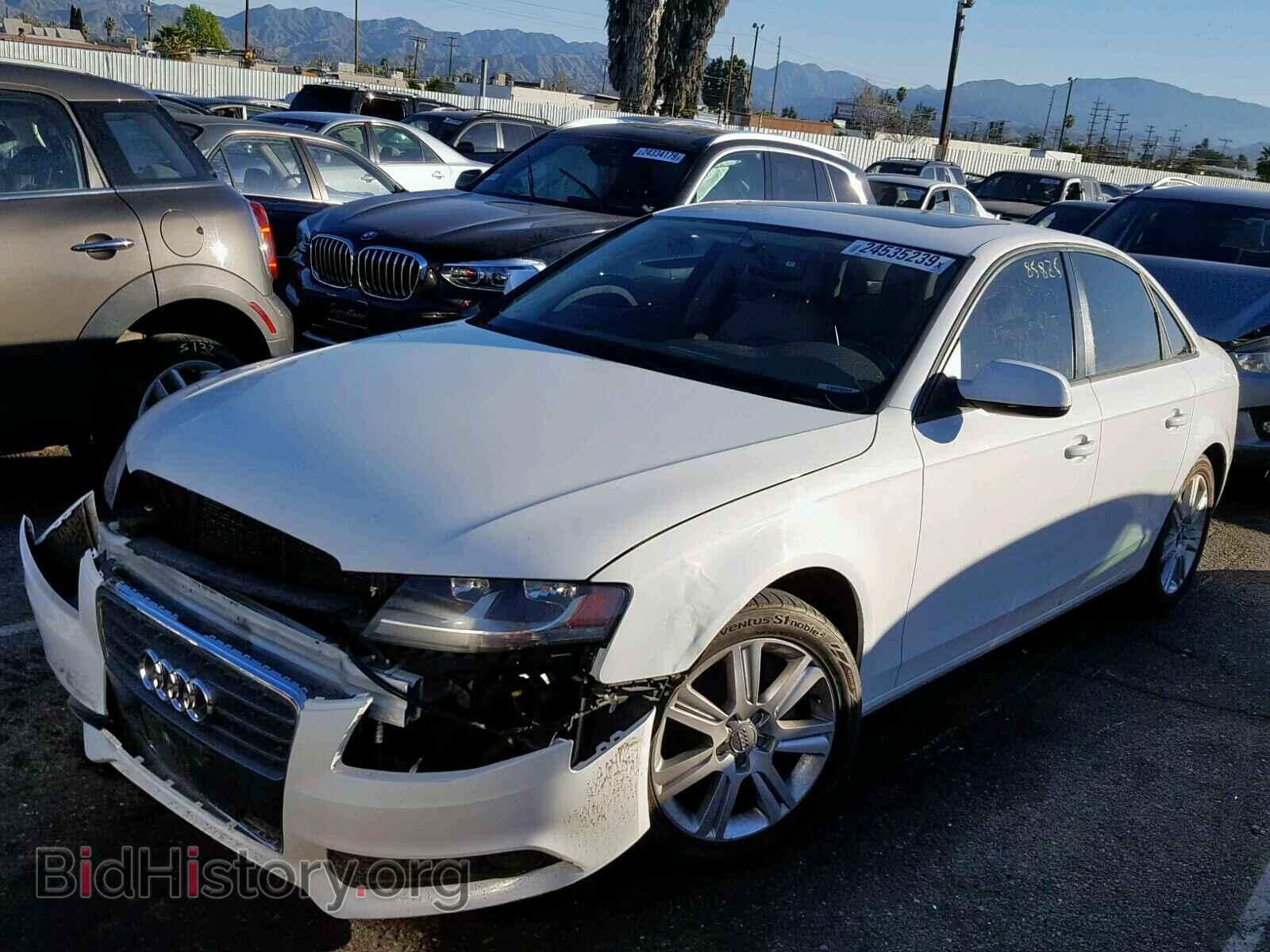 2011 AUDI A4 - VIN: WAUAFAFL2BN037404 - Фото 2