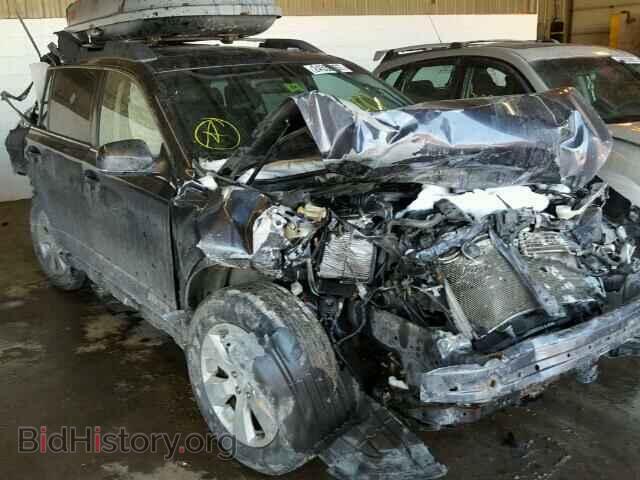 Photo 4S4BRBKC3A3311208 - SUBARU OUTBACK 2010