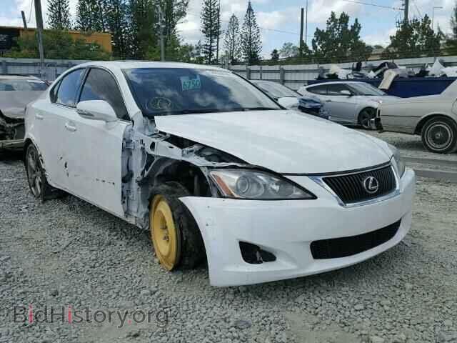 Фотография JTHBK262692087863 - LEXUS IS250 2009