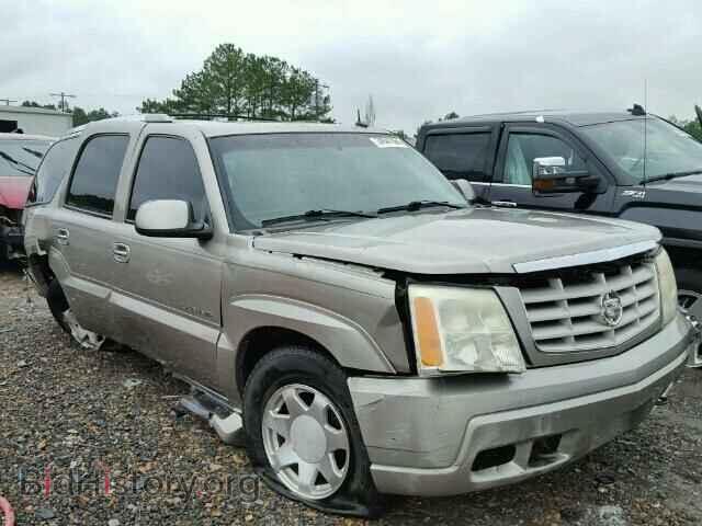Photo 1GYEK63N02R308496 - CADILLAC ESCALADE 2002