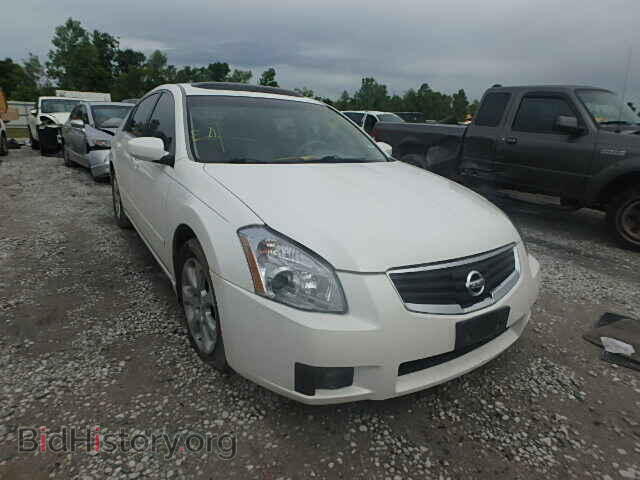 Photo 1N4BA41E58C805967 - NISSAN MAXIMA 2008