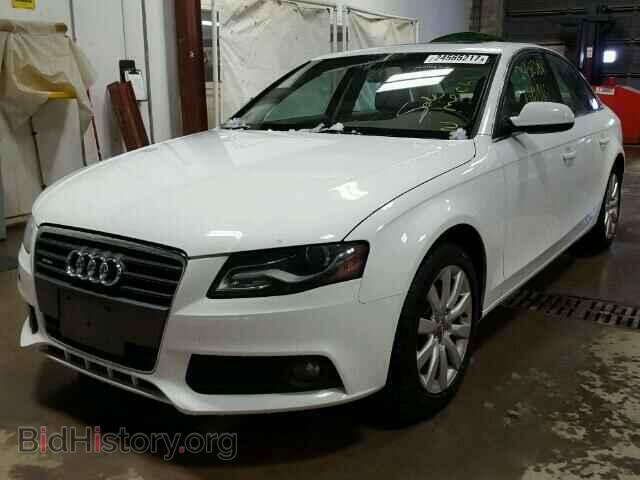 2010 AUDI A4 - VIN: WAUFFAFL2AN053946 - Фото 2