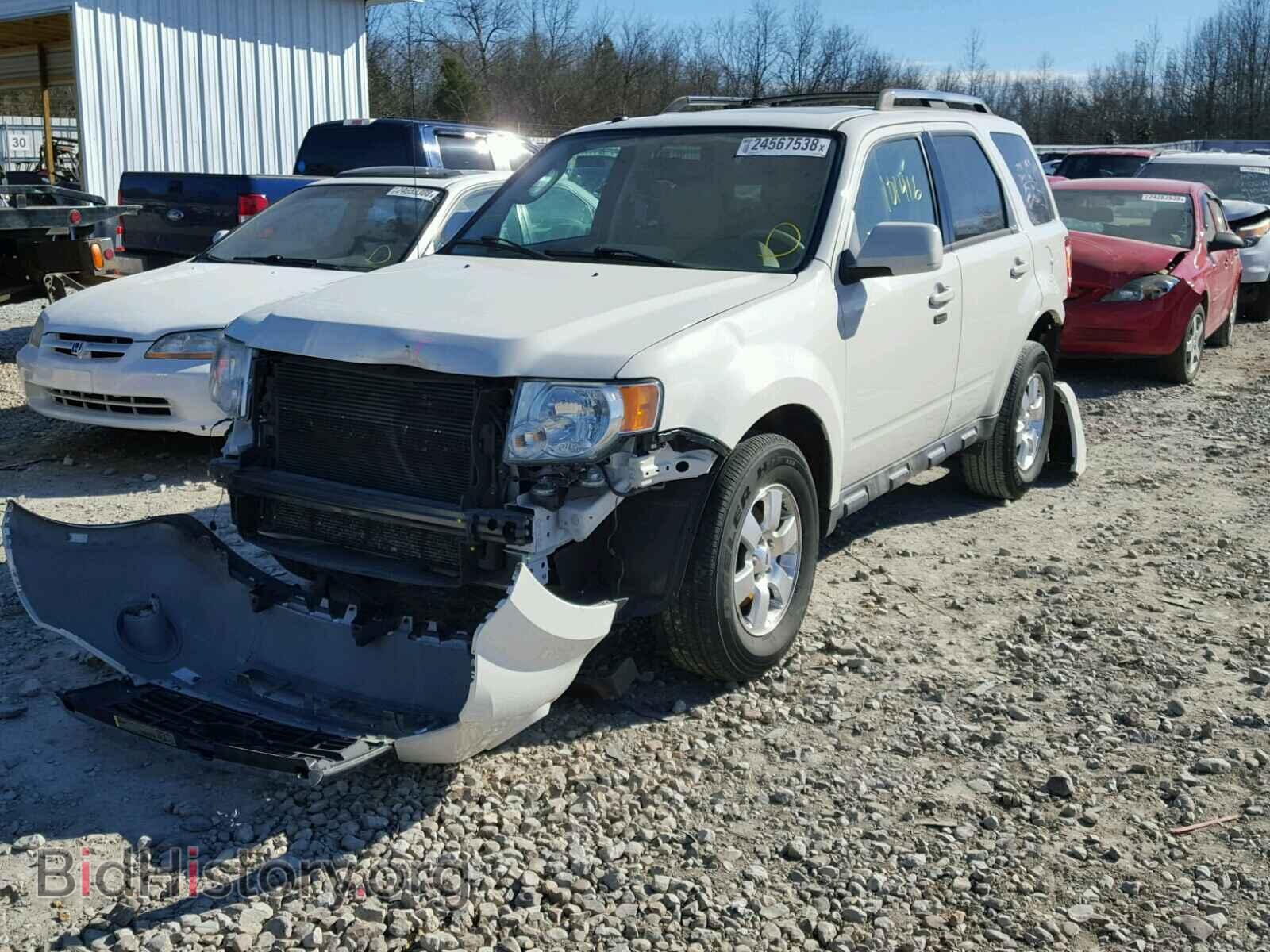 2011 FORD ESCAPE - VIN: 1FMCU0EG9BKB38517 - Фото 2