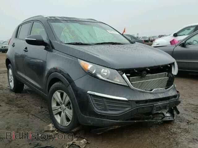 Фотография KNDPB3A22D7429907 - KIA SPORTAGE 2013