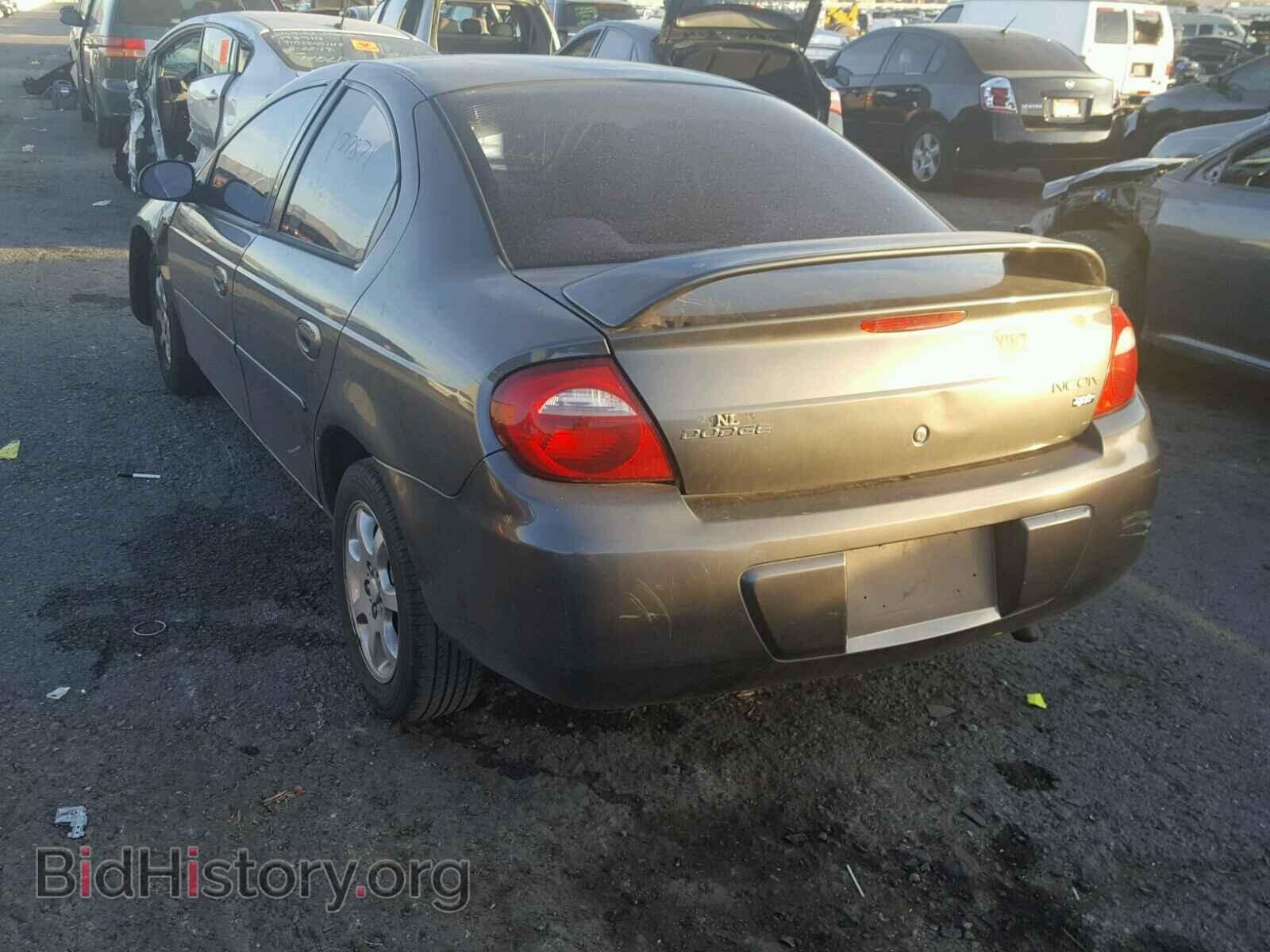 2003 DODGE NEON - VIN: 1B3ES56C43D142607 - Фото 3