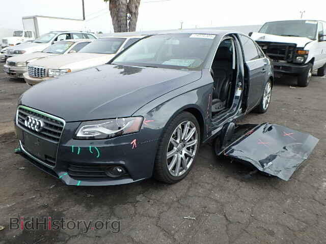 2010 AUDI A4 - VIN: WAUHFAFL4AN058865 - Фото 2