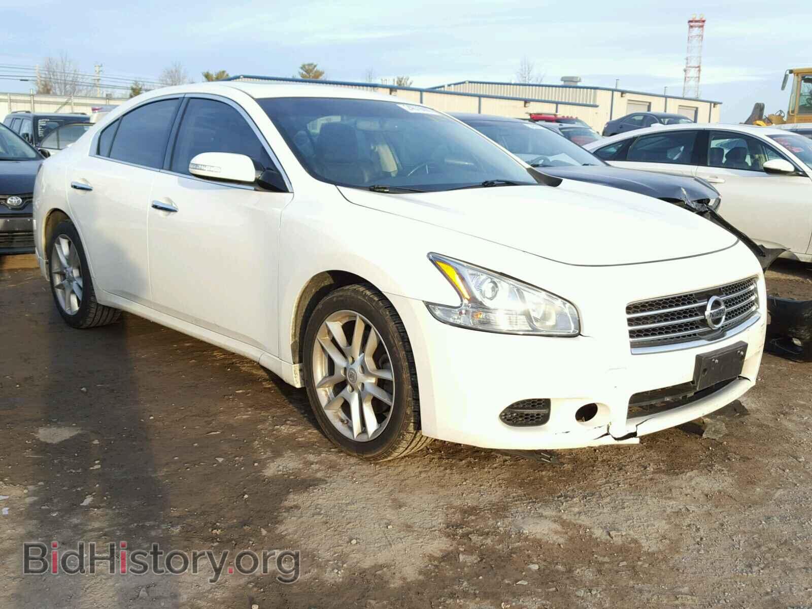 Photo 1N4AA5AP6BC864598 - NISSAN MAXIMA S 2011