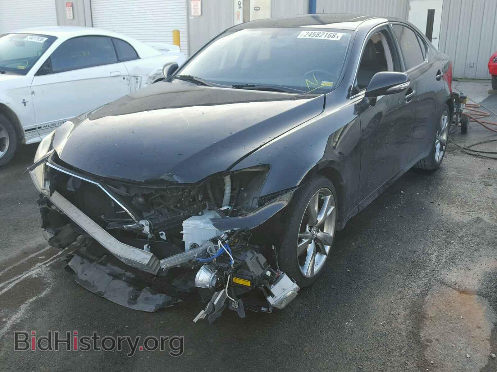 2009 LEXUS IS250 - VIN: JTHBK262495102231 - Фото 2