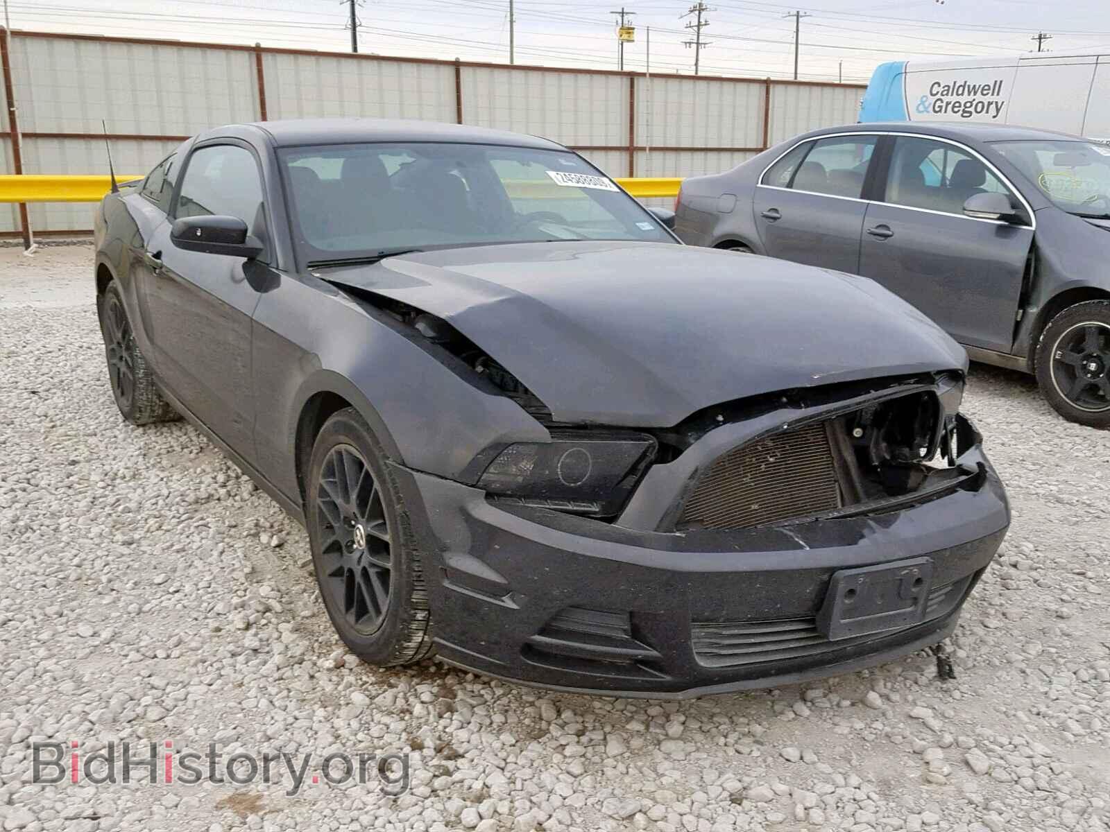 Фотография 1ZVBP8AM3E5296482 - FORD MUSTANG 2014