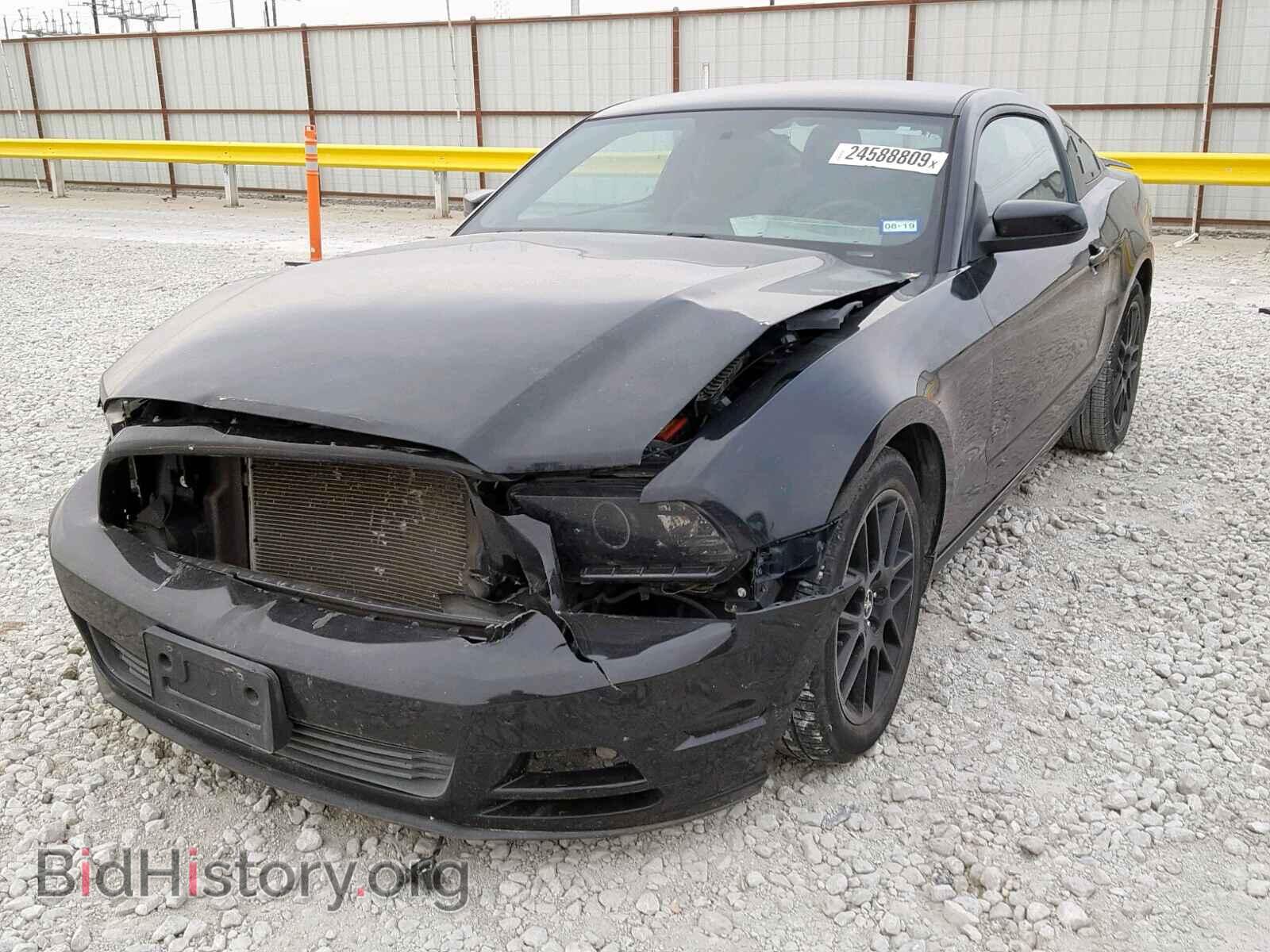 2014 FORD MUSTANG - VIN: 1ZVBP8AM3E5296482 - Фото 2