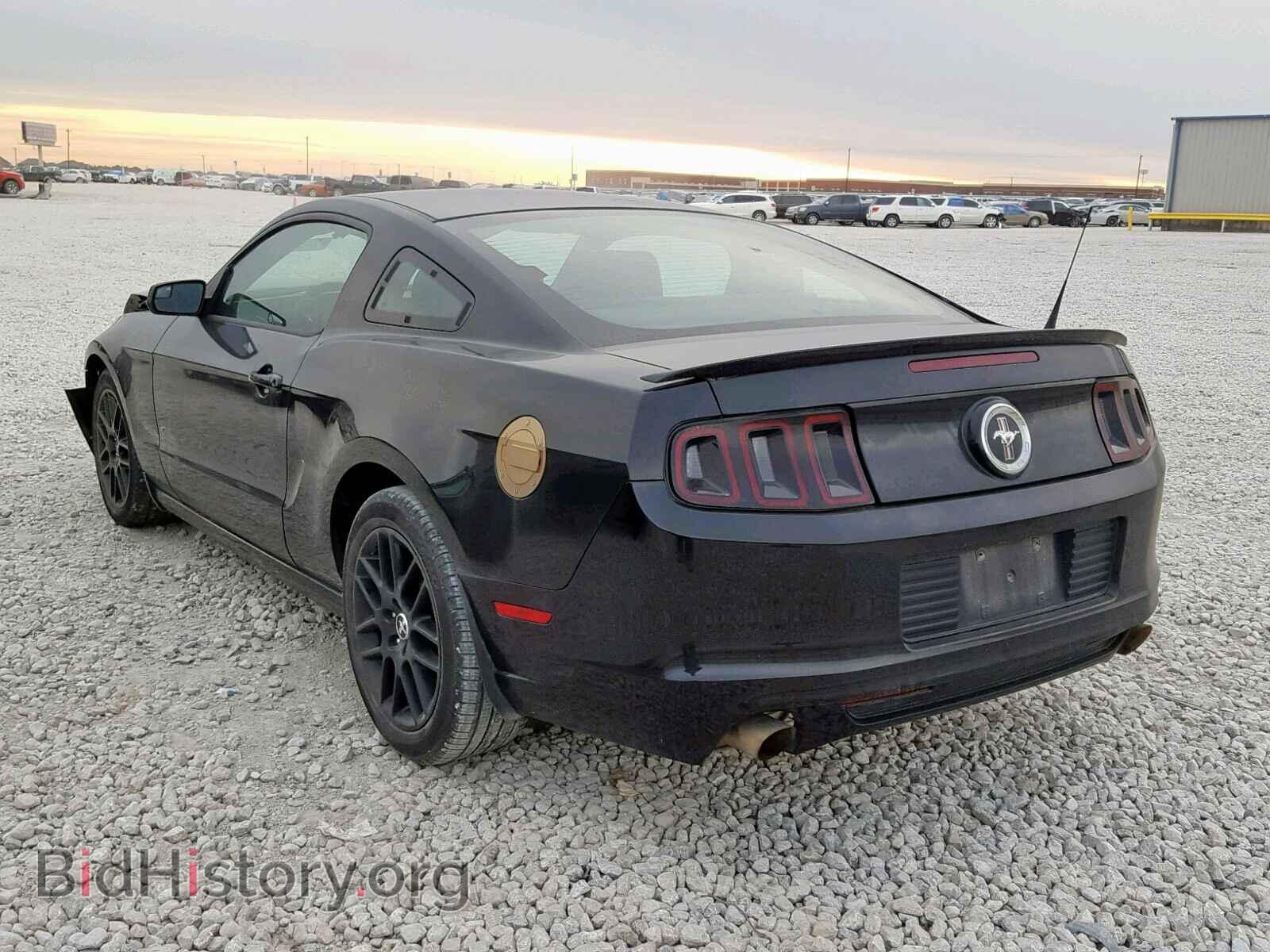 2014 FORD MUSTANG - VIN: 1ZVBP8AM3E5296482 - Фото 3