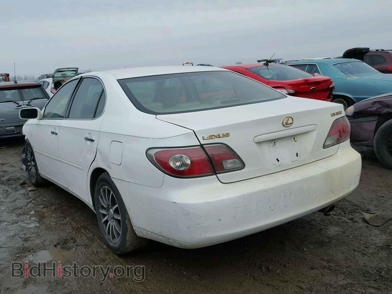 2002 LEXUS ES300 - VIN: JTHBF30G420030352 - Фото 3