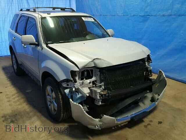 Фотография 1FMCU94G99KD01599 - FORD ESCAPE 2009
