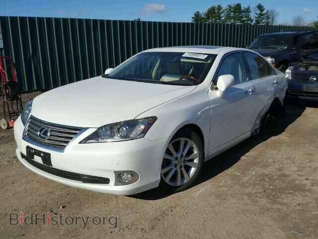 2011 LEXUS ES350 - VIN: JTHBK1EG3B2417536 - Фото 2