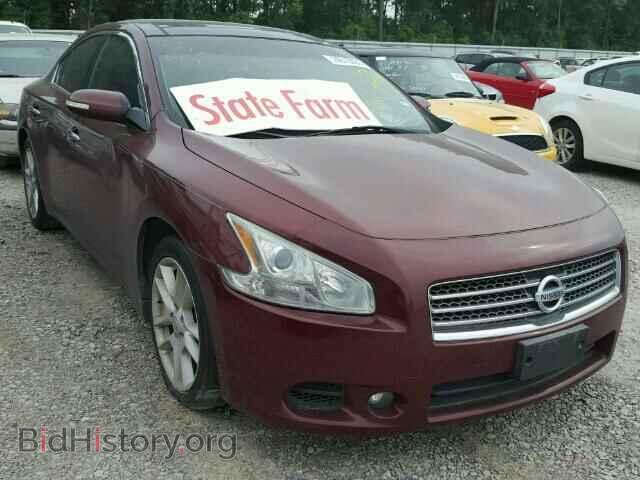 Фотография 1N4AA5AP5BC812332 - NISSAN MAXIMA 2011