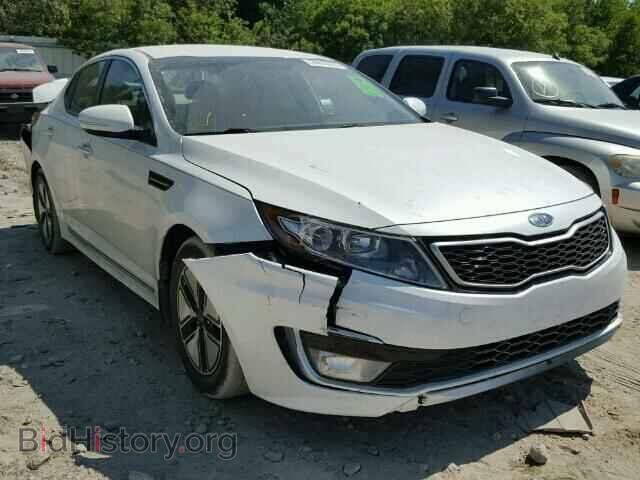 Фотография KNAGM4AD0C5010575 - KIA OPTIMA 2012